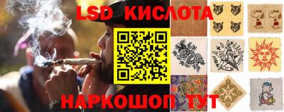спайс Камышлов