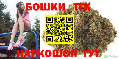индика Канаш