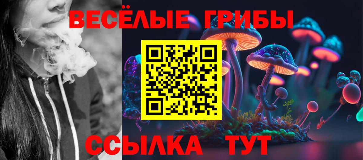 Псилоцибиновые грибы Psilocybe  Вход с VPN  Куйбышев 